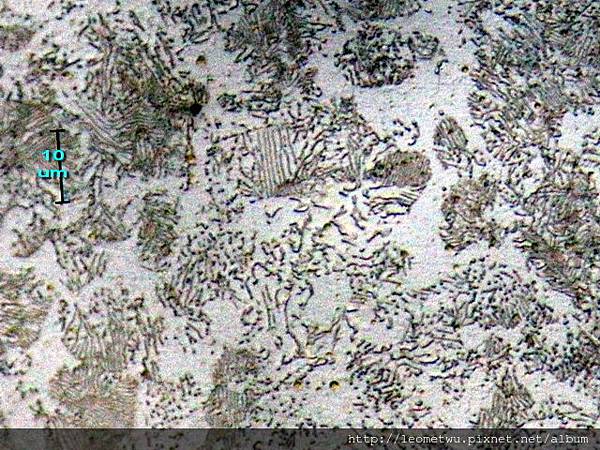 8 IMG_1463.jpg 8 IMG_1463.jpg