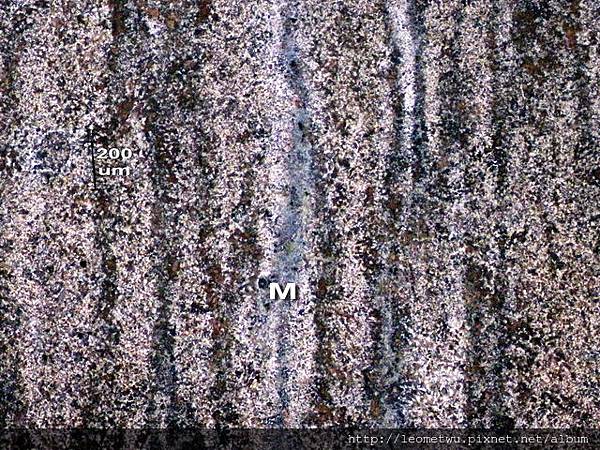 3 IMG_1542.jpg 3 IMG_1542.jpg