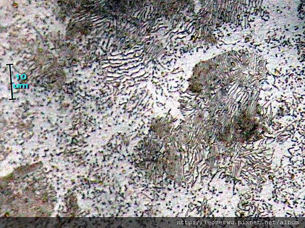 a IMG_1461.jpg a IMG_1461.jpg