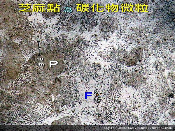 9 IMG_1462.jpg 9 IMG_1462.jpg