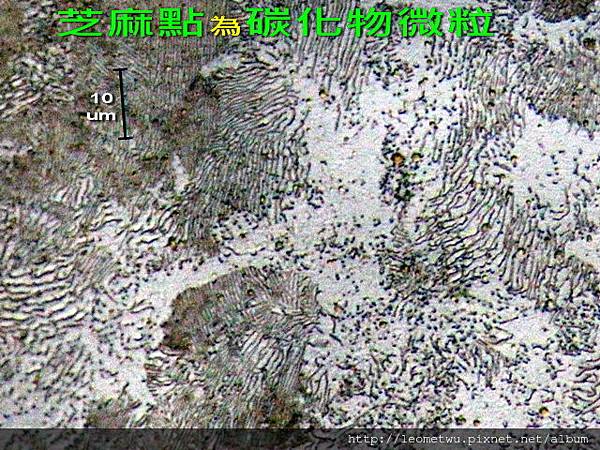 b IMG_1460.jpg b IMG_1460.jpg