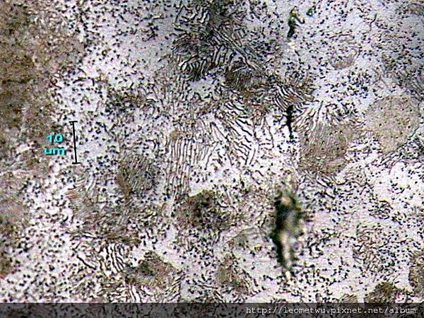 IMG_1459.jpg IMG_1459.jpg