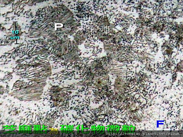 d IMG_1457.jpg d IMG_1457.jpg