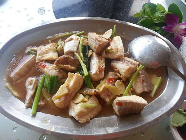 芹菜沙魚