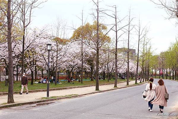 大阪城公園IMG_9506_20160404.jpg