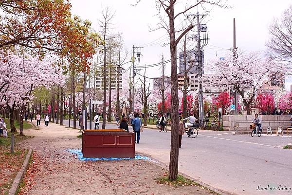 大阪城公園IMG_9514_20160404.jpg