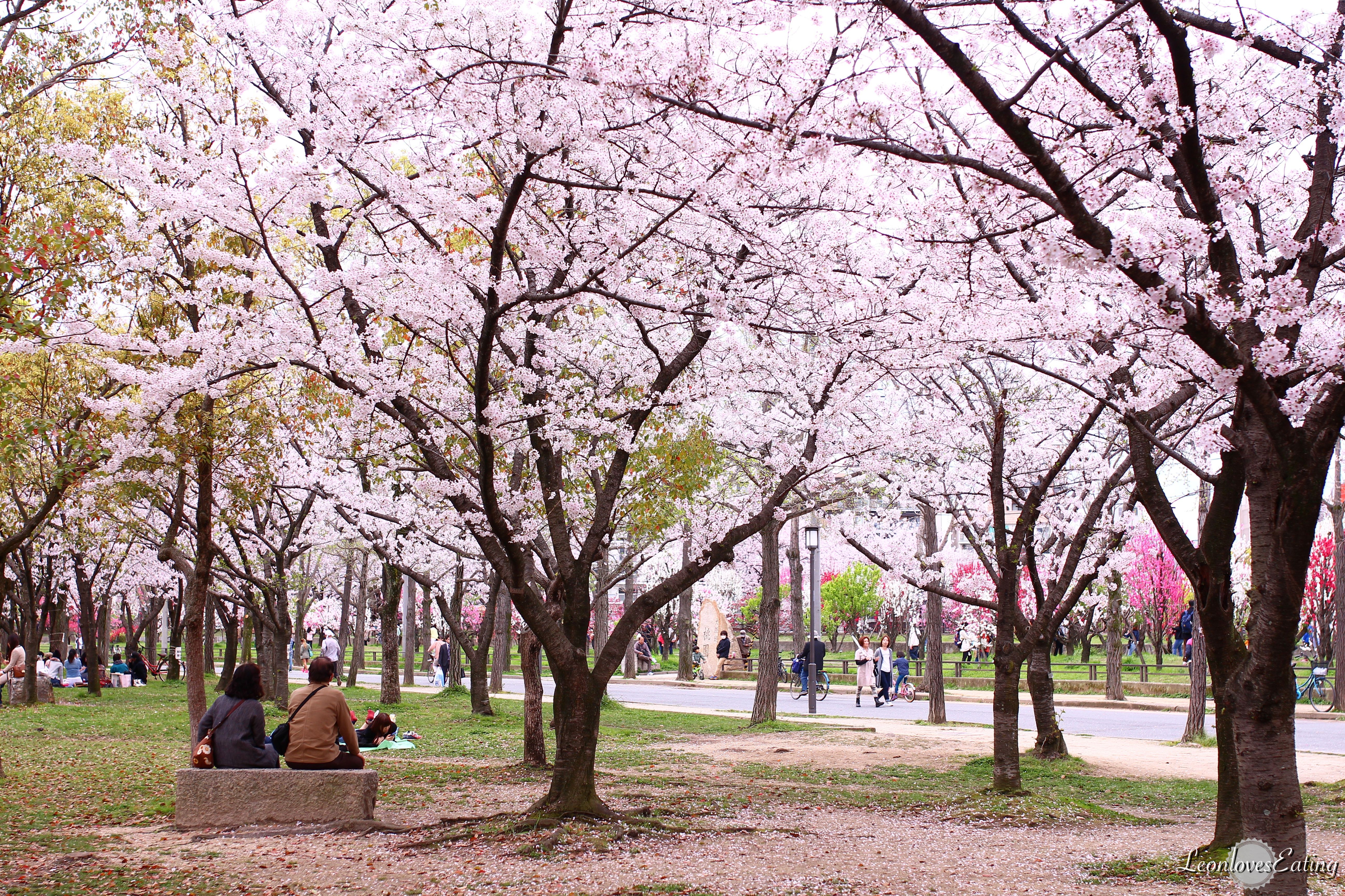 大阪城公園IMG_9510_20160404.jpg