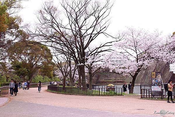 大阪城公園IMG_9520_20160404.jpg