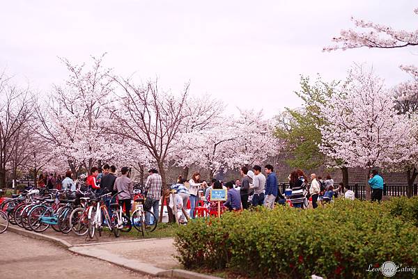 大阪城公園IMG_9625_20160404.jpg