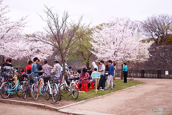 大阪城公園IMG_9626_20160404.jpg