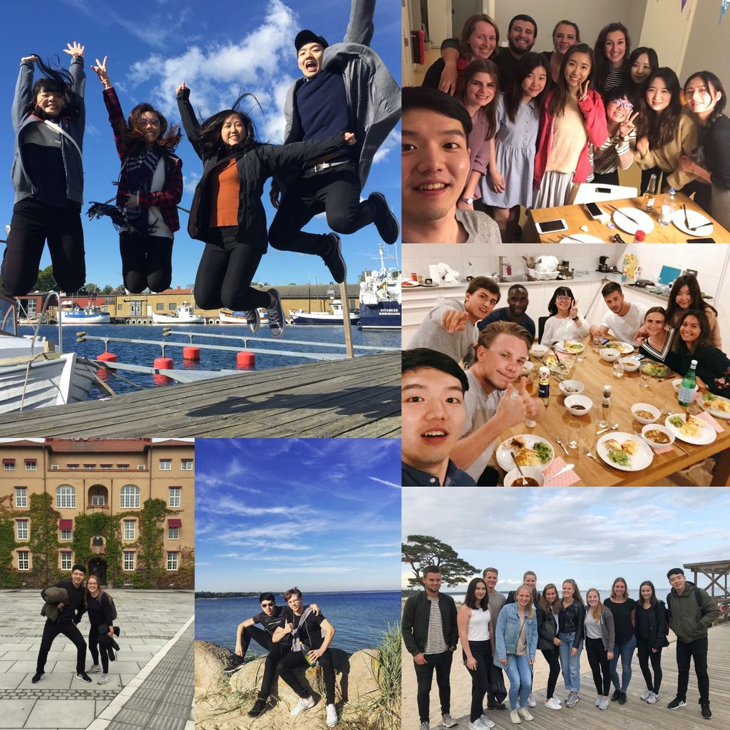 collage.jpg collage.jpg