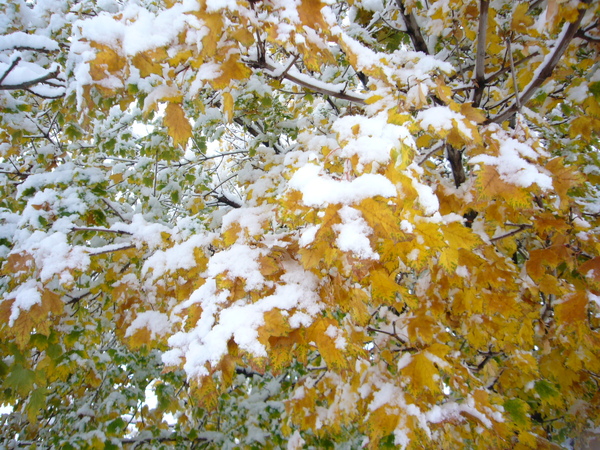P1050333.JPG