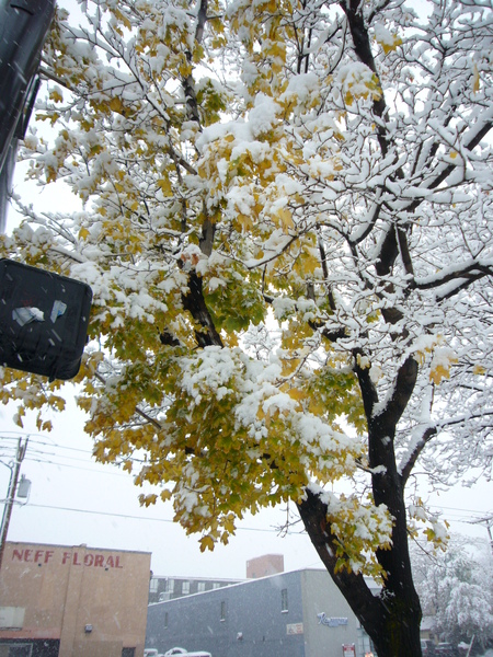 P1050334.JPG