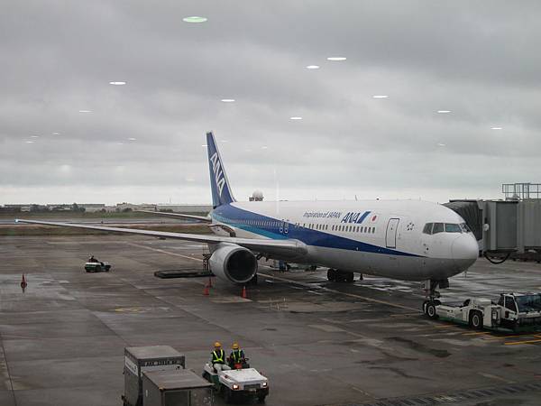 IMG_8206.JPG IMG_8206.JPG