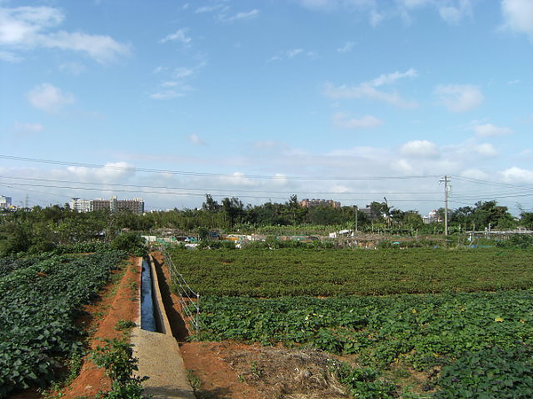 體育園區徵收農地.JPG