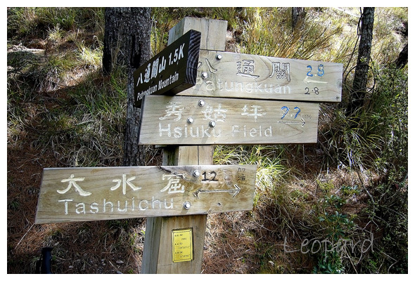 八通關山登山口