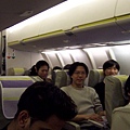 During the flight