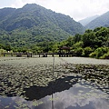 羅山大魚池.JPG