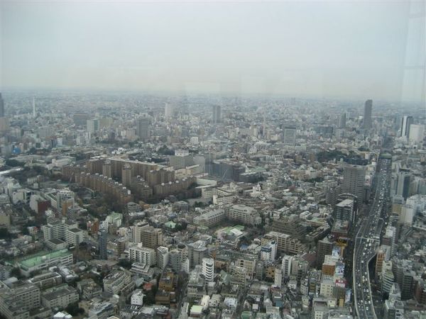 六本木-Tokyo city view 東京市景觀 (4).JPG