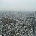 六本木-Tokyo city view 東京市景觀 (4).JPG