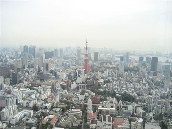 六本木-Tokyo city view 東京市景觀(1).JPG