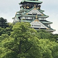IMG-20170620-WA0019.jpg