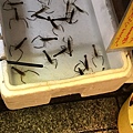 IMG-20170620-WA0130.jpg