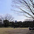 0327B北之丸公園 (68).JPG