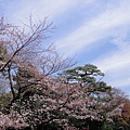 0327-C皇居東御院 (10).JPG