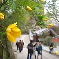 0328B鎌倉-圓覺寺 (49).JPG