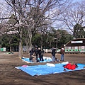 0329井之頭公 園 (17).JPG