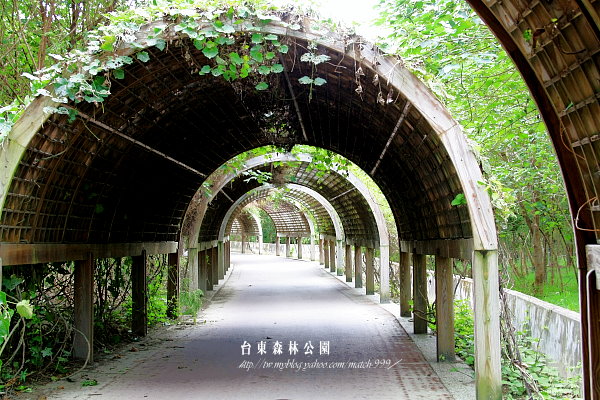 琵琶湖.台東森林公園.台東之旅1 094