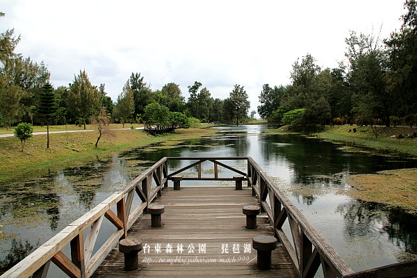 琵琶湖.台東森林公園.台東之旅1 110