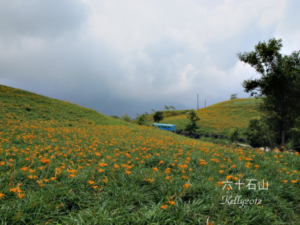 六十石山,台東美食.那界海 061