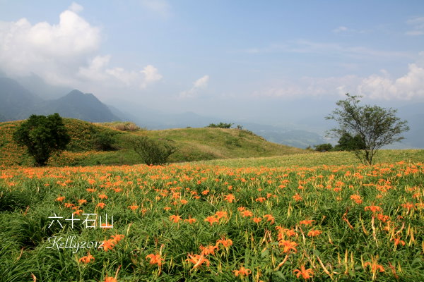 六十石山,那界海.台東美食 075