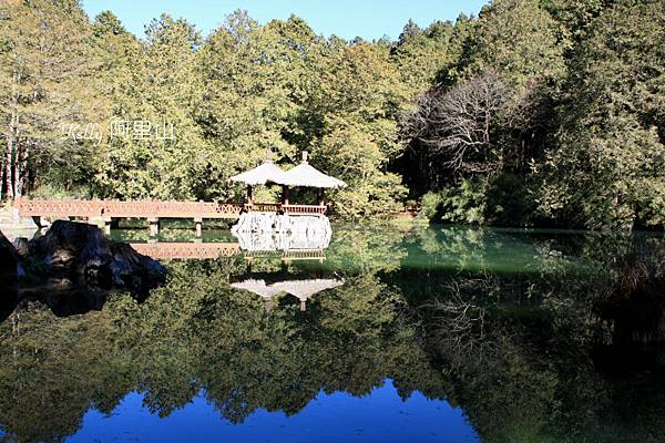 阿里山.塔塔加 124