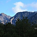 阿里山.塔塔加 189