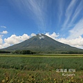 洞爺湖畔,羊蹄山明水公園 (21).jpg