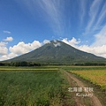 洞爺湖畔,羊蹄山明水公園 (22).jpg