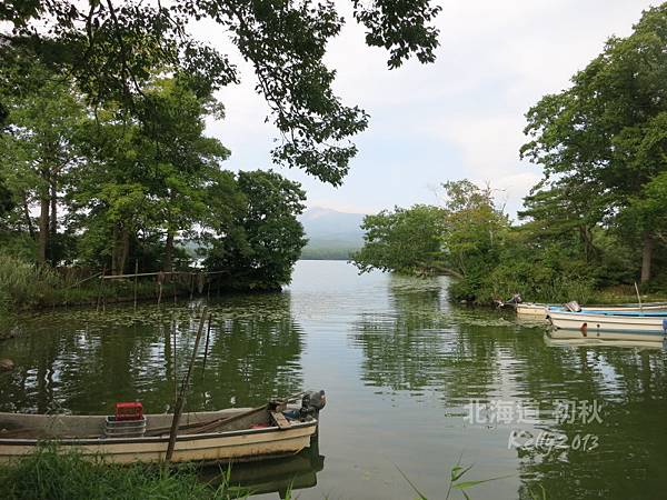 大沼國立公園騎自行車 (18)