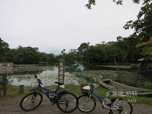 大沼國立公園騎自行車 (24)