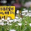 中興新村--宥宥篇-84.jpg