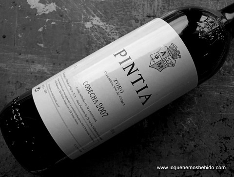 pintia2007