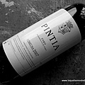 pintia2007