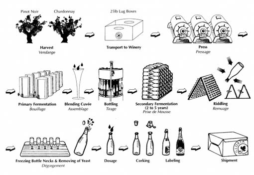 methode-champenoise.jpg