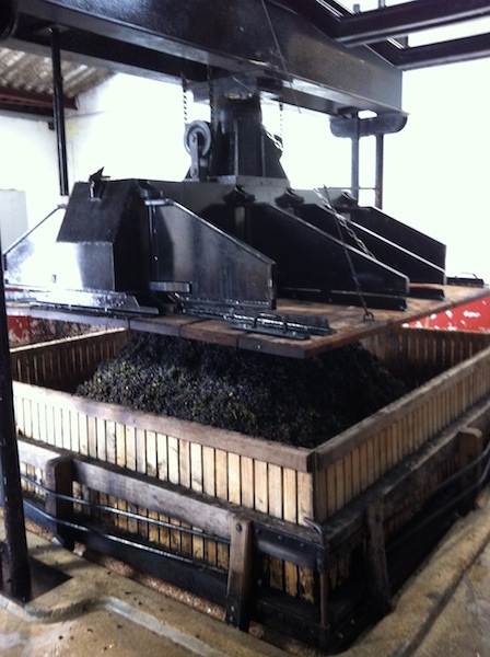 coquard-press square.jpg