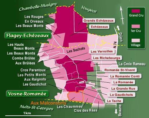 Clos Frantin Vosne-Romanée Les Malconsorts2.jpg