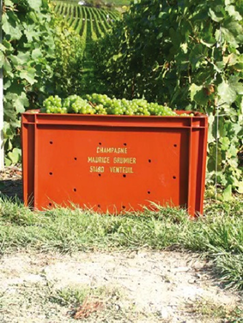 [香檳] 低調優質小農香檳 Champagne Mauric