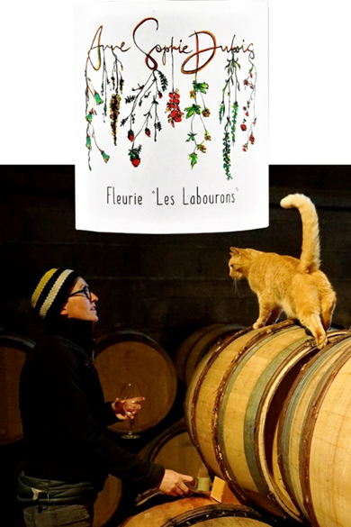 [特價-薄酒萊] 2025.11.18~12.25 貓一直跑