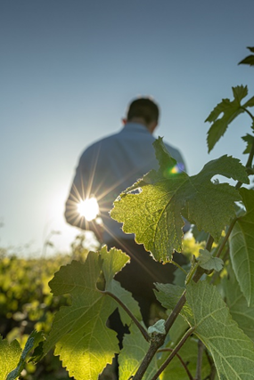 [特價-香檳] 2025.11.05~29 Champagn